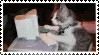 cat on computer stamp