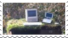 computers in forest stamp