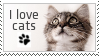 i love cats stamp
