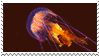jellyfish stamp